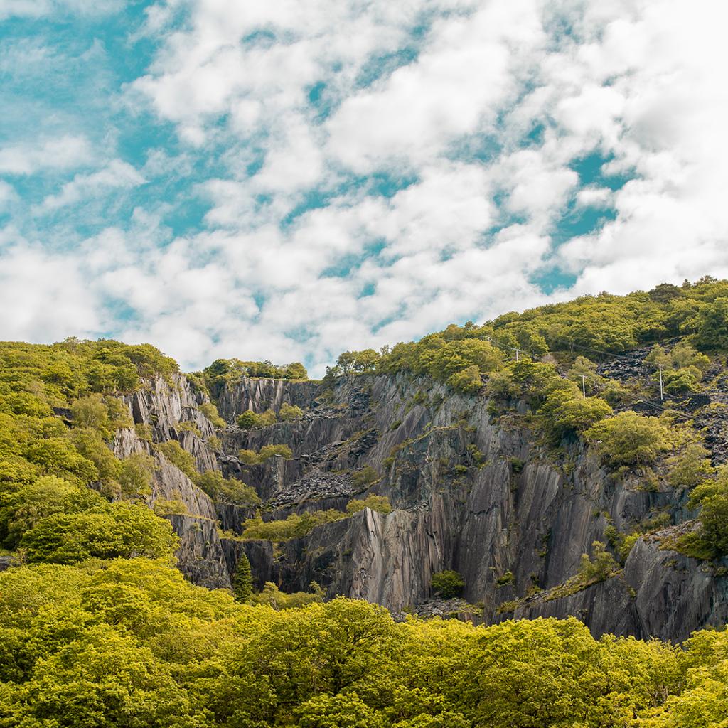Parc Padarn | quarry and forest